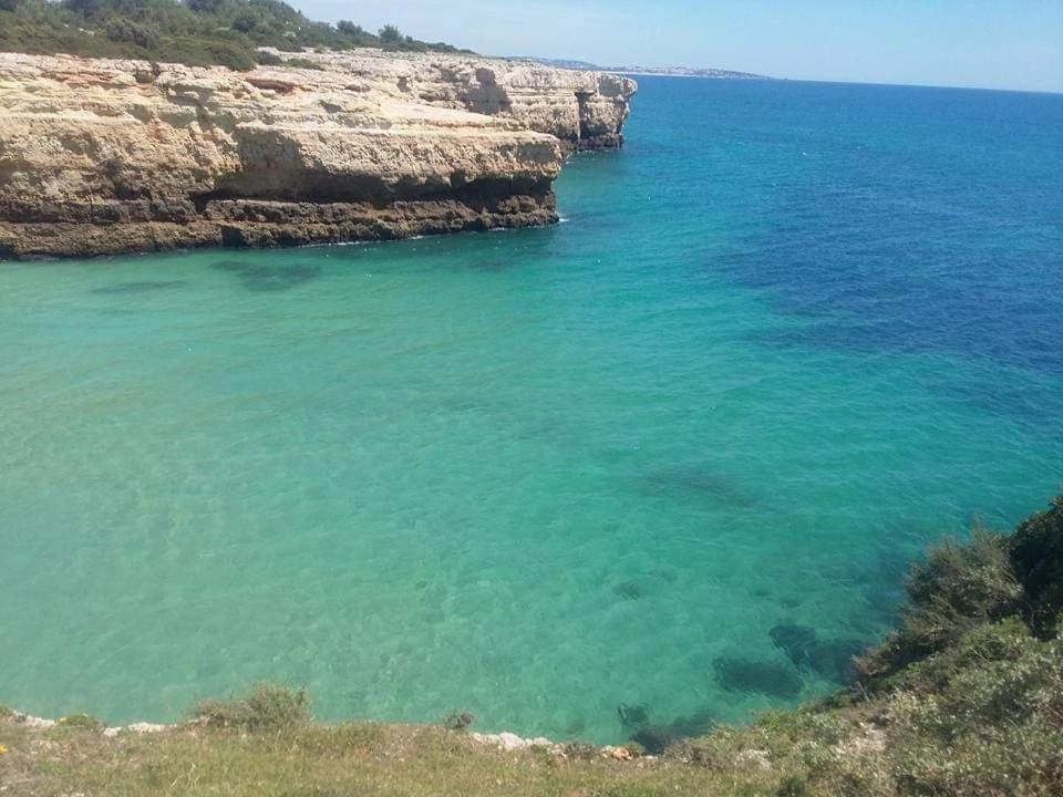 Al Algarve - Alojamento Local Com Excelente Localizacao 卡武埃鲁 外观 照片