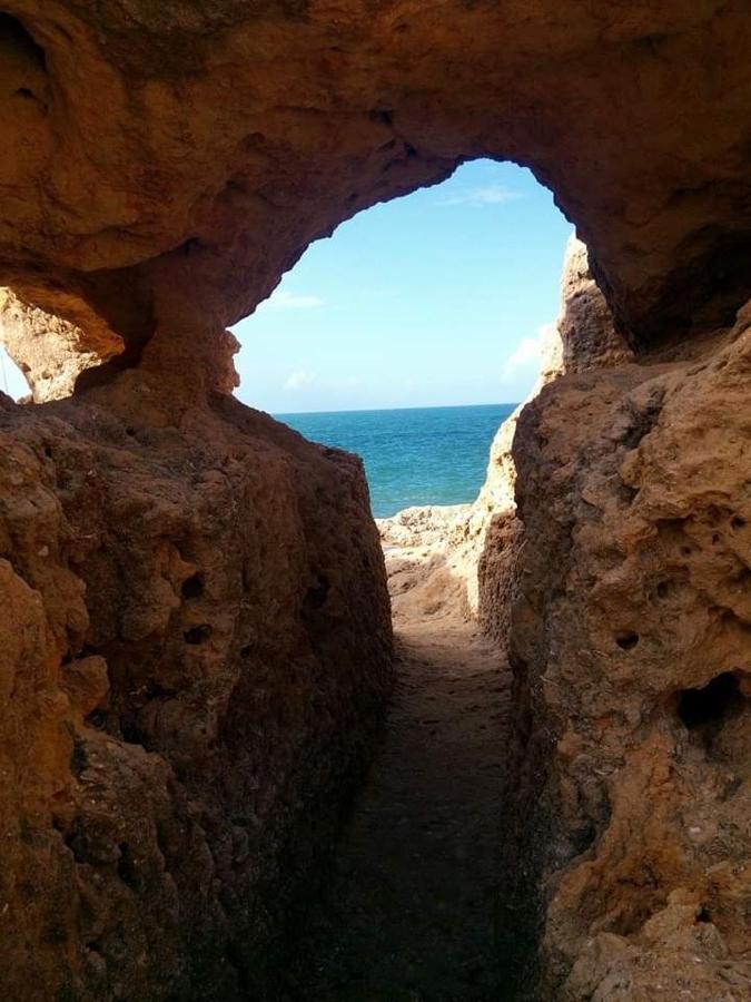 Al Algarve - Alojamento Local Com Excelente Localizacao 卡武埃鲁 外观 照片