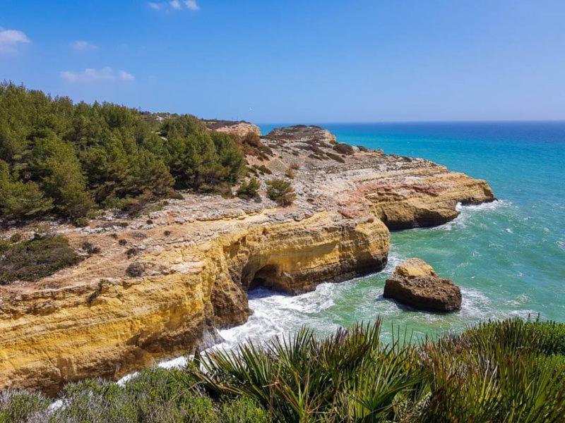 Al Algarve - Alojamento Local Com Excelente Localizacao 卡武埃鲁 外观 照片